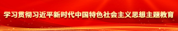 啊插进来艹我视频学习贯彻习近平新时代中国特色社会主义思想主题教育